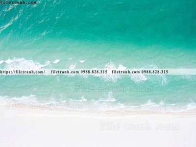 Tải file gốc bai bien dai duong 264 (in không vỡ ảnh)