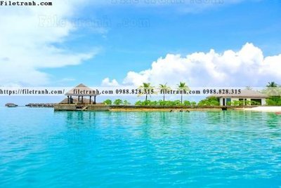 Mua file gốc bai bien dai duong 279 (chất lượng) tại Filetranh.com