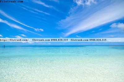 File gốc bai bien dai duong 288 (ảnh chi tiết) để in ấn