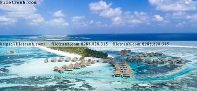 File PSD bai bien dai duong 289 (gốc) cho designer