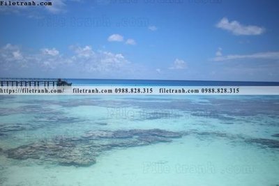 Tải file tranh bai bien dai duong 304 (ảnh gốc) ngay