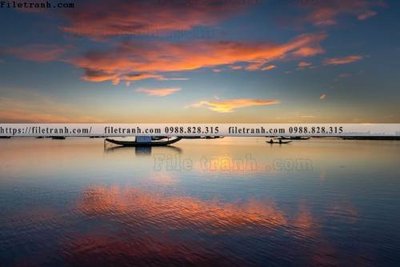 File in trần bai bien dai duong 310 (bản gốc) hoa văn