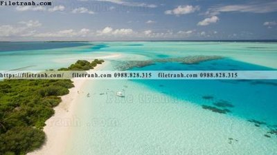 File in trần bai bien dai duong 328 (file gốc) hoa văn 3D