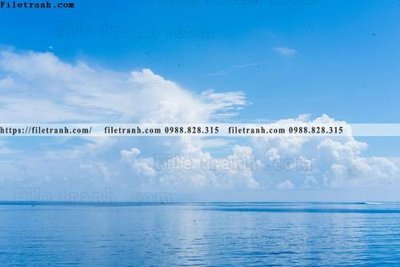 Tải file tranh bai bien dai duong 339 (ảnh gốc) ngay