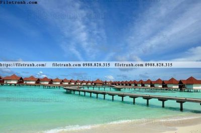 File in mica bai bien dai duong 349 (bản gốc) siêu trong