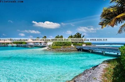 Tải file tranh bai bien dai duong 365 (ảnh gốc) ngay