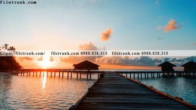 File ảnh bai bien dai duong 368 (gốc) trang trí khách sạn