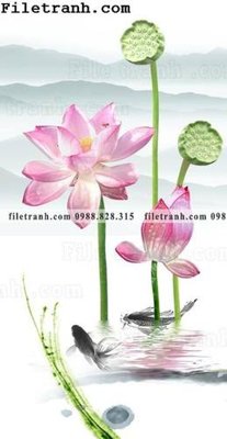 File PSD bong hoa sen trung quoc 123 (nguyên bản) cho thiết kế