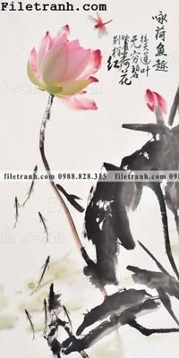 File in mica bong hoa sen trung quoc 135 (bản gốc) làm vách ngăn