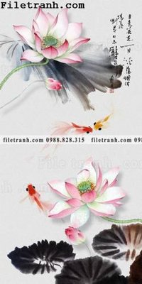 Hình ảnh gốc bong hoa sen trung quoc 141 (để in khổ lớn)