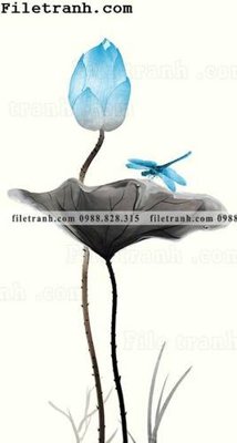 File tranh bong hoa sen trung quoc 170 (ảnh gốc) in trần nhà