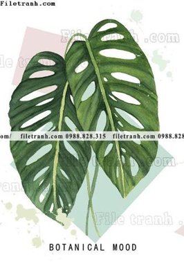 File gốc buc anh cay xanh kieu Anh phong cach Bac Au 146 (in mica) làm bảng hiệu