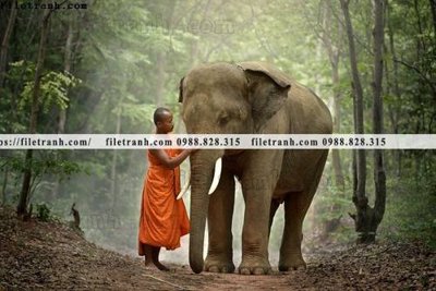 File gốc buc anh chup anh phong canh thon que 111 (in tráng gương) ốp tường