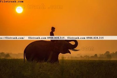 File tranh buc anh chup anh phong canh thon que 122 (bản gốc) treo phòng ăn