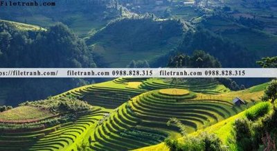 File gốc buc anh chup anh phong canh thon que 126 (thiết kế) độc quyền