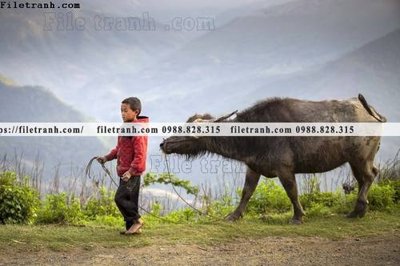 File gốc buc anh chup anh phong canh thon que 131 (ảnh chi tiết) để in trần