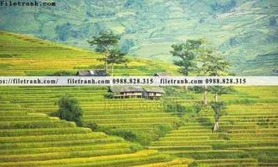 File in ấn buc anh chup anh phong canh thon que 168 chuyên nghiệp