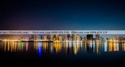 Download file gốc buc anh chup thanh pho ngang dep 541 (in lụa) hoa lá