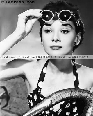 Tải file buc anh cua Audrey Hepburn 110 (gốc) làm file quảng cáo