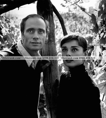 Tải file tranh buc anh cua Audrey Hepburn 124 (ảnh gốc) ngay
