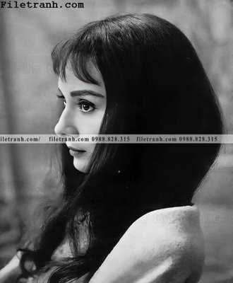 File gốc buc anh cua Audrey Hepburn 164 (AI/EPS) cho in ấn