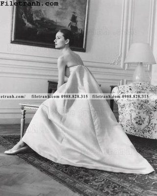 File in trần buc anh cua Audrey Hepburn 180 (file gốc) chủ đề vũ trụ