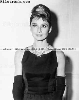 Tải file PSD buc anh cua Audrey Hepburn 219 (nguyên layer) để in