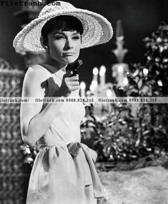File gốc buc anh cua Audrey Hepburn 232 (phong cách) châu Âu