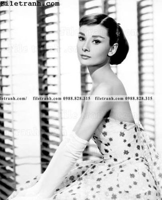 Tải file gốc buc anh cua Audrey Hepburn 239 (bản PSD) còn layer
