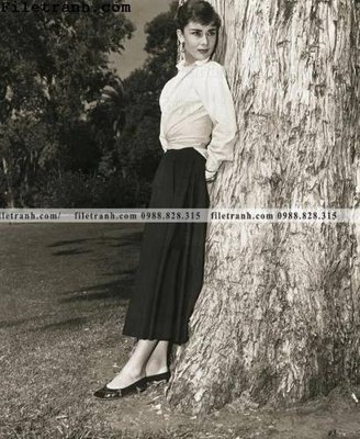 Download file gốc buc anh cua Audrey Hepburn 247 (in lụa) cao cấp