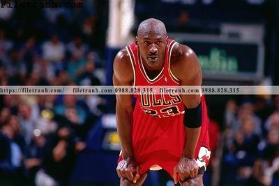 File gốc buc anh cua NBA Jordan 132 (cho in ấn) từ kho Filetranh