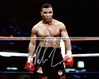 Ảnh gốc file in lụa buc anh cua nha vo dich quyen anh Ali Tyson 103 chi tiết
