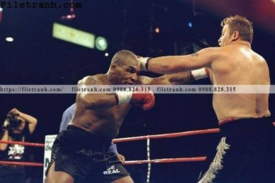 File in mica buc anh cua nha vo dich quyen anh Ali Tyson 141 (bản gốc) siêu trong