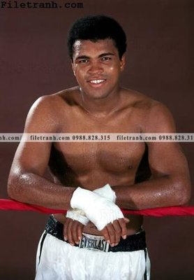 File gốc buc anh cua nha vo dich quyen anh Ali Tyson 160 (in lụa) họa tiết 3D