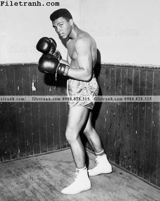 Tệp tin gốc buc anh cua nha vo dich quyen anh Ali Tyson 170 (chất lượng cao) buc anh cua nha vo dich quyen anh Ali Tyson 170