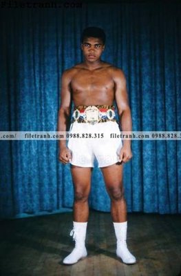 Tải file gốc buc anh cua nha vo dich quyen anh Ali Tyson 176 (in khổ lớn) quảng cáo