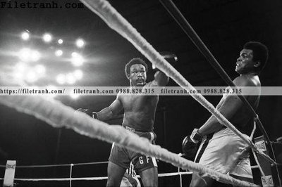 File tranh buc anh cua nha vo dich quyen anh Ali Tyson 194 (ảnh gốc) cho in ấn kỹ thuật số