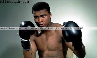 File in lụa buc anh cua nha vo dich quyen anh Ali Tyson 195 (phong cảnh) buc anh cua nha vo dich quyen anh Ali Tyson 195