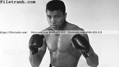 Ảnh mô tả file gốc in mica buc anh cua nha vo dich quyen anh Ali Tyson 196