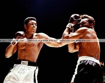 File gốc buc anh cua nha vo dich quyen anh Ali Tyson 200 (bản quyền) cho in ấn