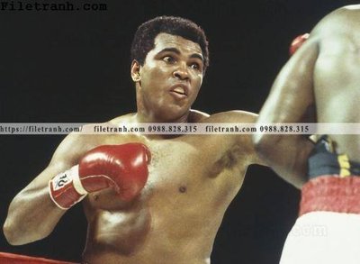 File ảnh gốc buc anh cua nha vo dich quyen anh Ali Tyson 201 không vỡ nét
