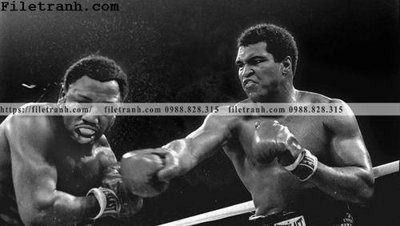 Mua file gốc buc anh cua nha vo dich quyen anh Ali Tyson 205 (in ấn) tại Filetranh.com