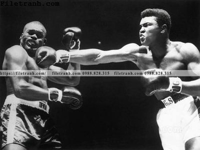 File gốc buc anh cua nha vo dich quyen anh Ali Tyson 211 (dành cho trang trí nội thất)