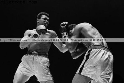 Tải file buc anh cua nha vo dich quyen anh Ali Tyson 219 (ảnh gốc) in gạch men