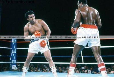 Download file tranh PSD buc anh cua nha vo dich quyen anh Ali Tyson 221 để chỉnh sửa