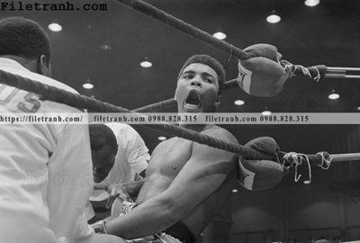 Hình ảnh gốc buc anh cua nha vo dich quyen anh Ali Tyson 224 (để in khổ lớn)