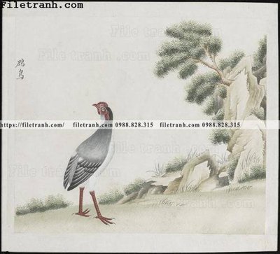 Tải file buc anh hoa co chim muong mau sac nhe nhang 117 (ảnh gốc) file AI/EPS