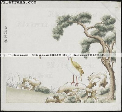 Tải file gốc buc anh hoa co chim muong mau sac nhe nhang 137 (bản PSD) chỉnh sửa được