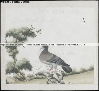 File PSD buc anh hoa co chim muong mau sac nhe nhang 162 (gốc) cho in quảng cáo