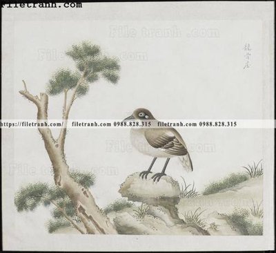 File gốc in ấn buc anh hoa co chim muong mau sac nhe nhang 168 độ phân giải cao